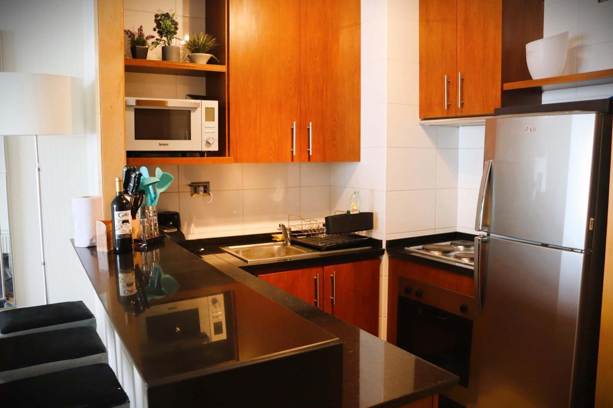 Hom I 1d1b En Valle Nevado Edif Valle Condores Ii Vc2803 Apartamento Santiago